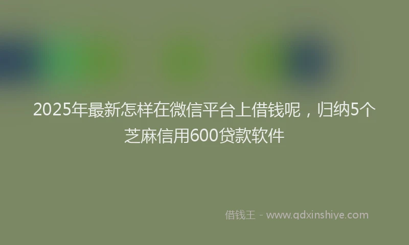 2025年最新怎样在微信平台上借钱呢，归纳5个芝麻信用600贷款软件