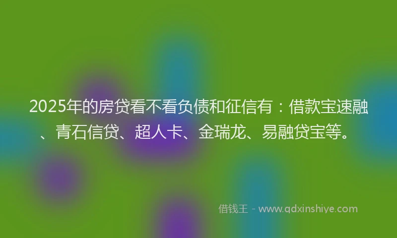 2025年的房贷看不看负债和征信有：借款宝速融、青石信贷、超人卡、金瑞龙、易融贷宝等。