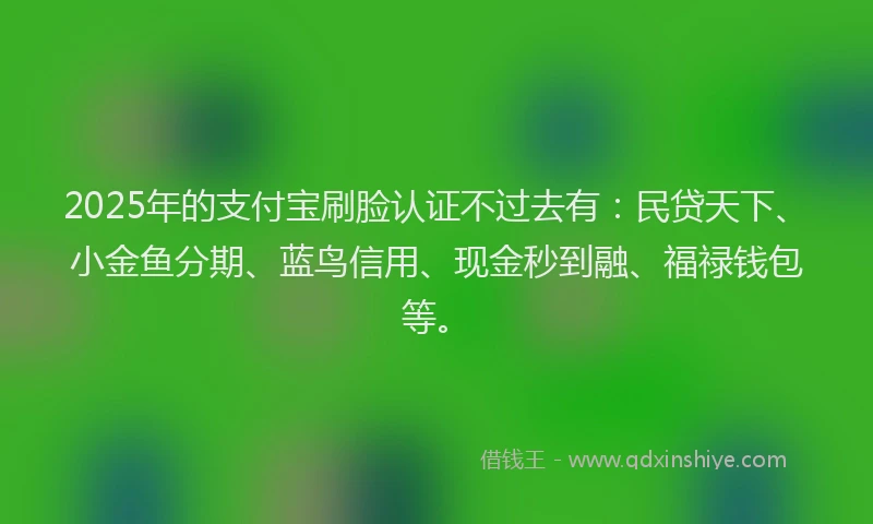 2025年的支付宝刷脸认证不过去有：民贷天下、小金鱼分期、蓝鸟信用、现金秒到融、福禄钱包等。