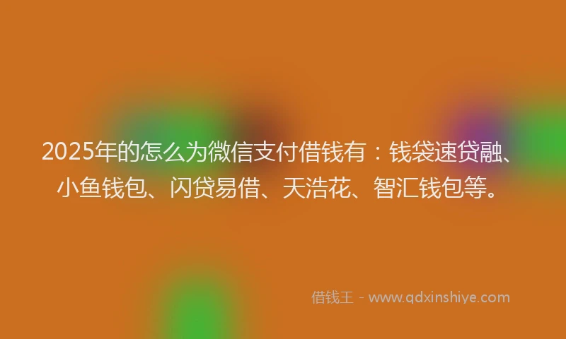 2025年的怎么为微信支付借钱有：钱袋速贷融、小鱼钱包、闪贷易借、天浩花、智汇钱包等。