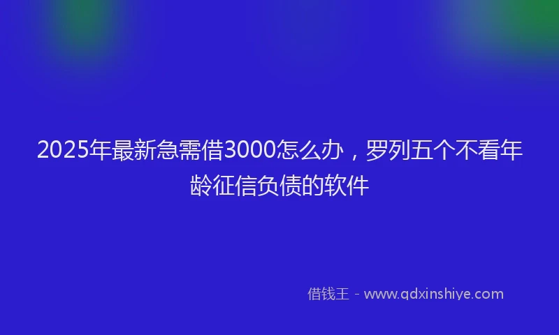 2025年最新急需借3000怎么办，罗列五个不看年龄征信负债的软件
