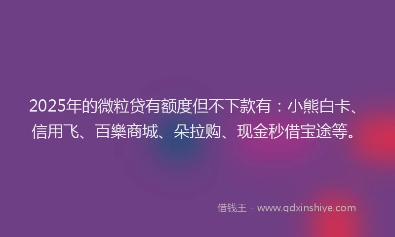 2025年的微粒贷有额度但不下款有：小熊白卡、信用飞、百樂商城、朵拉购、现金秒借宝途等。