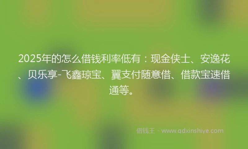 2025年的怎么借钱利率低有：现金侠士、安逸花、贝乐享-飞鑫琼宝、翼支付随意借、借款宝速借通等。