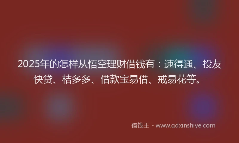 2025年的怎样从悟空理财借钱有：速得通、投友快贷、桔多多、借款宝易借、戒易花等。