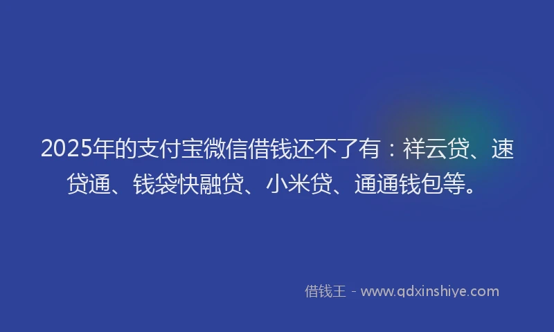 2025年的支付宝微信借钱还不了有：祥云贷、速贷通、钱袋快融贷、小米贷、通通钱包等。