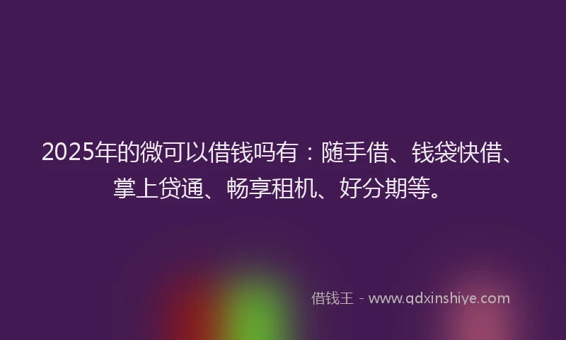 2025年的微可以借钱吗有：随手借、钱袋快借、掌上贷通、畅享租机、好分期等。