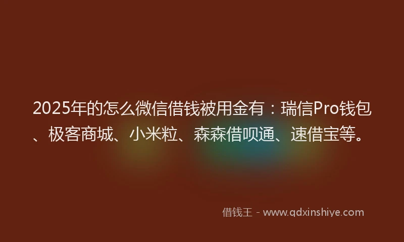 2025年的怎么微信借钱被用金有：瑞信Pro钱包、极客商城、小米粒、森森借呗通、速借宝等。