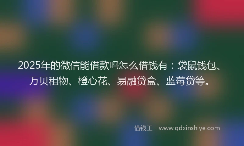 2025年的微信能借款吗怎么借钱有：袋鼠钱包、万贝租物、橙心花、易融贷盒、蓝莓贷等。