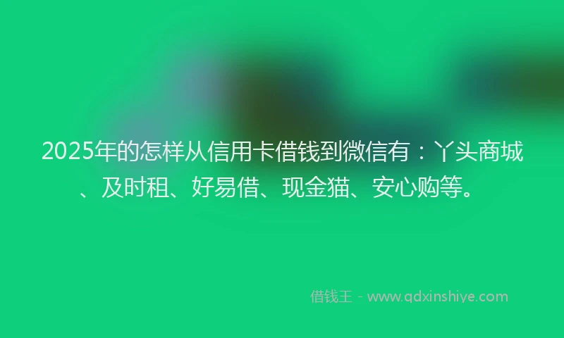 2025年的怎样从信用卡借钱到微信有：丫头商城、及时租、好易借、现金猫、安心购等。