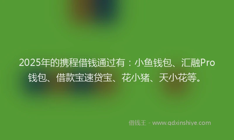 2025年的携程借钱通过有：小鱼钱包、汇融Pro钱包、借款宝速贷宝、花小猪、天小花等。