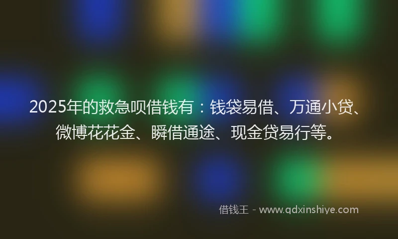 2025年的救急呗借钱有：钱袋易借、万通小贷、微博花花金、瞬借通途、现金贷易行等。