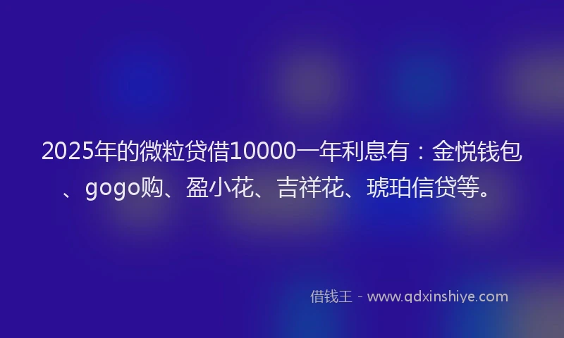 2025年的微粒贷借10000一年利息有：金悦钱包、gogo购、盈小花、吉祥花、琥珀信贷等。