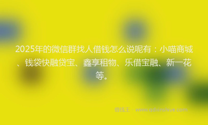 2025年的微信群找人借钱怎么说呢有：小喵商城、钱袋快融贷宝、鑫享租物、乐借宝融、新一花等。