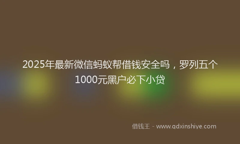 2025年最新微信蚂蚁帮借钱安全吗，罗列五个1000元黑户必下小贷
