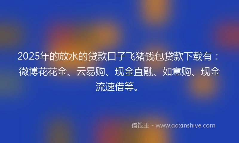 2025年的放水的贷款口子飞猪钱包贷款下载有：微博花花金、云易购、现金直融、如意购、现金流速借等。