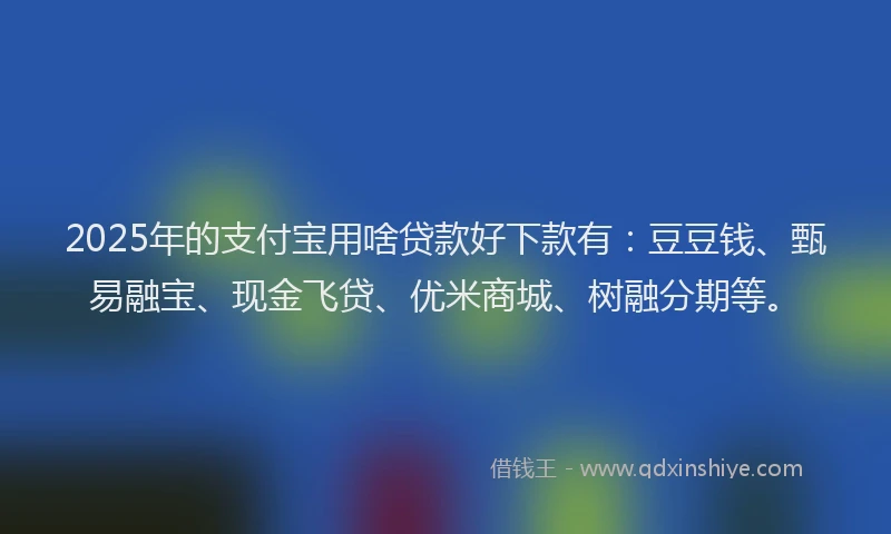 2025年的支付宝用啥贷款好下款有：豆豆钱、甄易融宝、现金飞贷、优米商城、树融分期等。