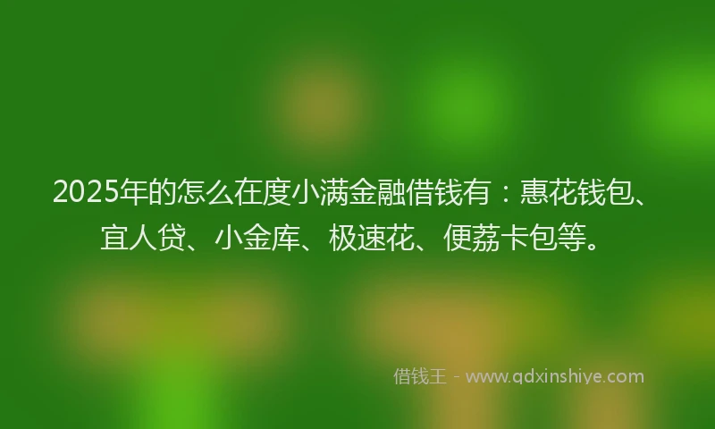 2025年的怎么在度小满金融借钱有：惠花钱包、宜人贷、小金库、极速花、便荔卡包等。
