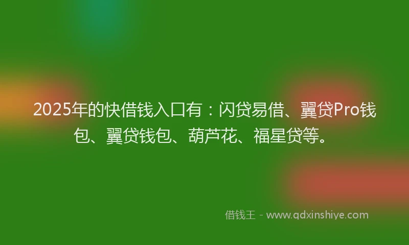 2025年的快借钱入口有：闪贷易借、翼贷Pro钱包、翼贷钱包、葫芦花、福星贷等。