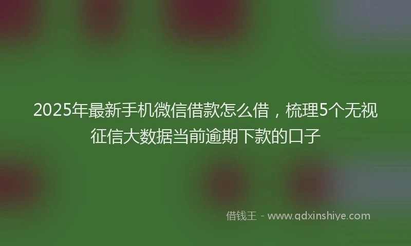 2025年最新手机微信借款怎么借，梳理5个无视征信大数据当前逾期下款的口子