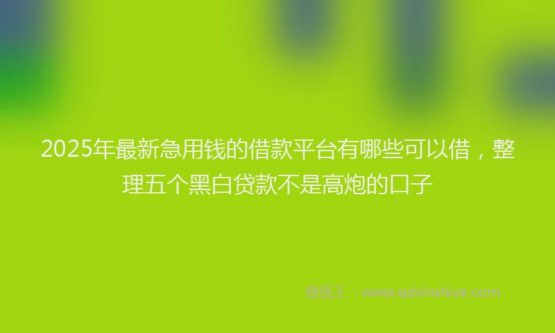 2025年最新急用钱的借款平台有哪些可以借，整理五个黑白贷款不是高炮的口子