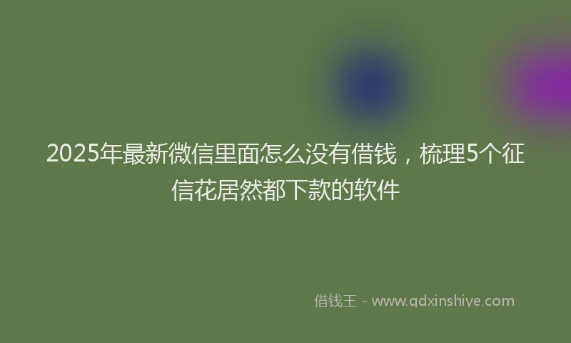 2025年最新微信里面怎么没有借钱，梳理5个征信花居然都下款的软件