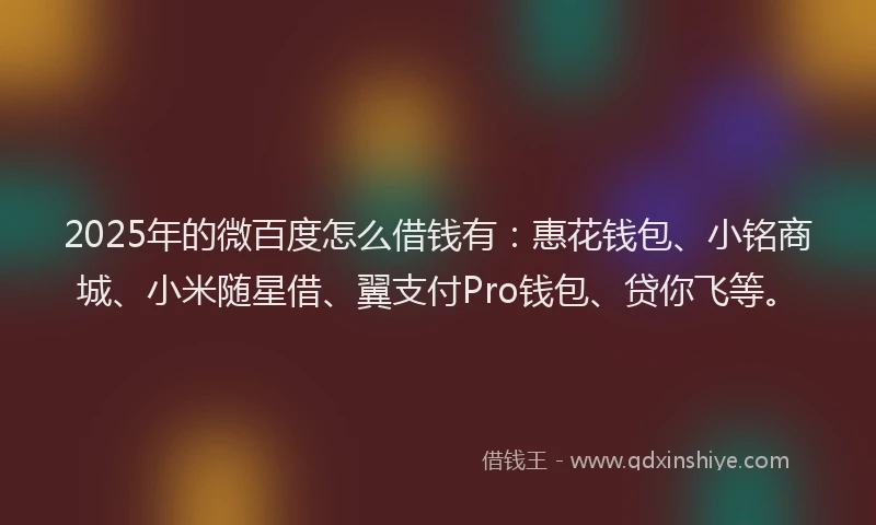 2025年的微百度怎么借钱有：惠花钱包、小铭商城、小米随星借、翼支付Pro钱包、贷你飞等。
