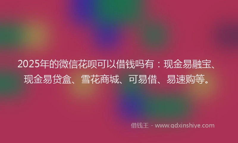 2025年的微信花呗可以借钱吗有：现金易融宝、现金易贷盒、雪花商城、可易借、易速购等。
