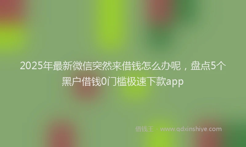 2025年最新微信突然来借钱怎么办呢，盘点5个黑户借钱0门槛极速下款app