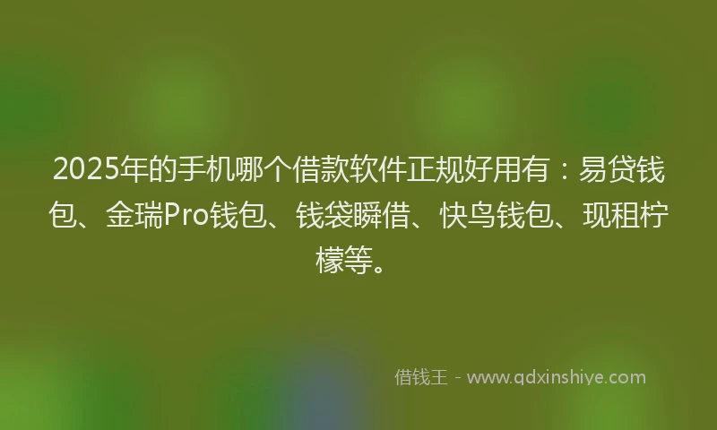 2025年的手机哪个借款软件正规好用有：易贷钱包、金瑞Pro钱包、钱袋瞬借、快鸟钱包、现租柠檬等。