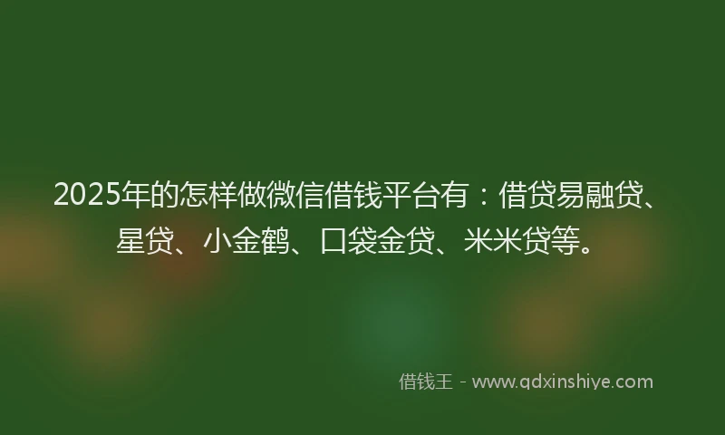 2025年的怎样做微信借钱平台有：借贷易融贷、星贷、小金鹤、口袋金贷、米米贷等。