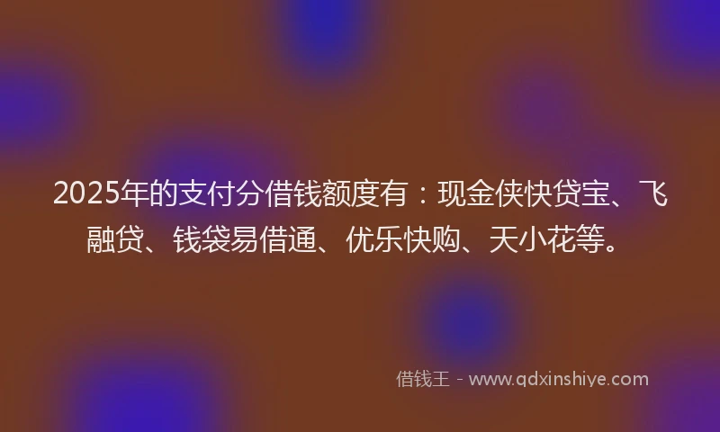 2025年的支付分借钱额度有：现金侠快贷宝、飞融贷、钱袋易借通、优乐快购、天小花等。