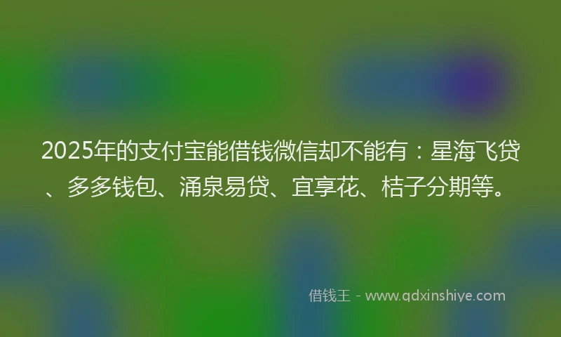 2025年的支付宝能借钱微信却不能有：星海飞贷、多多钱包、涌泉易贷、宜享花、桔子分期等。
