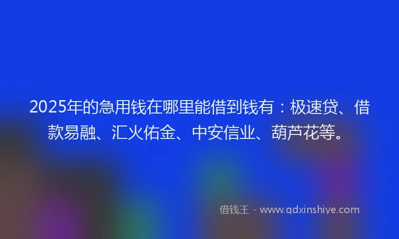 2025年的急用钱在哪里能借到钱有：极速贷、借款易融、汇火佑金、中安信业、葫芦花等。