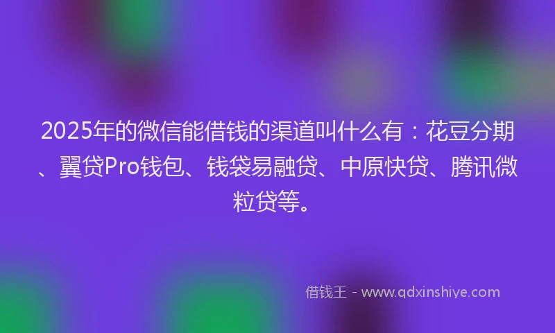 2025年的微信能借钱的渠道叫什么有：花豆分期、翼贷Pro钱包、钱袋易融贷、中原快贷、腾讯微粒贷等。