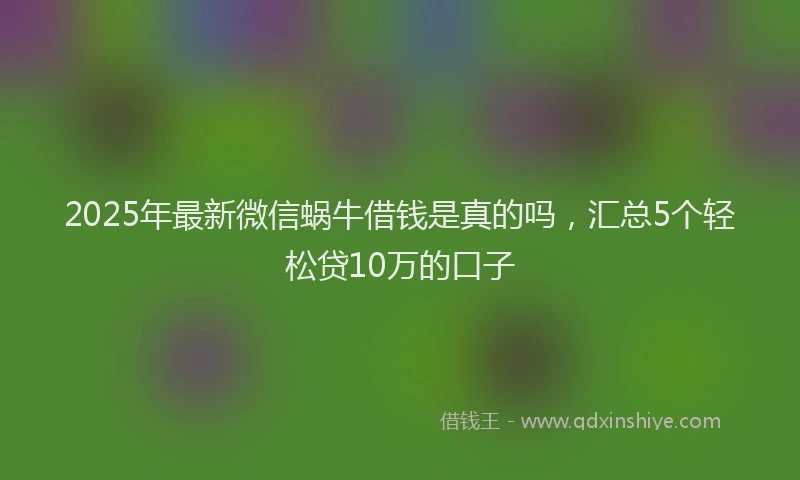 2025年最新微信蜗牛借钱是真的吗，汇总5个轻松贷10万的口子