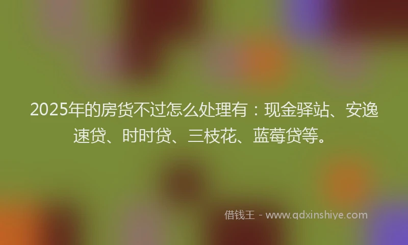 2025年的房货不过怎么处理有：现金驿站、安逸速贷、时时贷、三枝花、蓝莓贷等。
