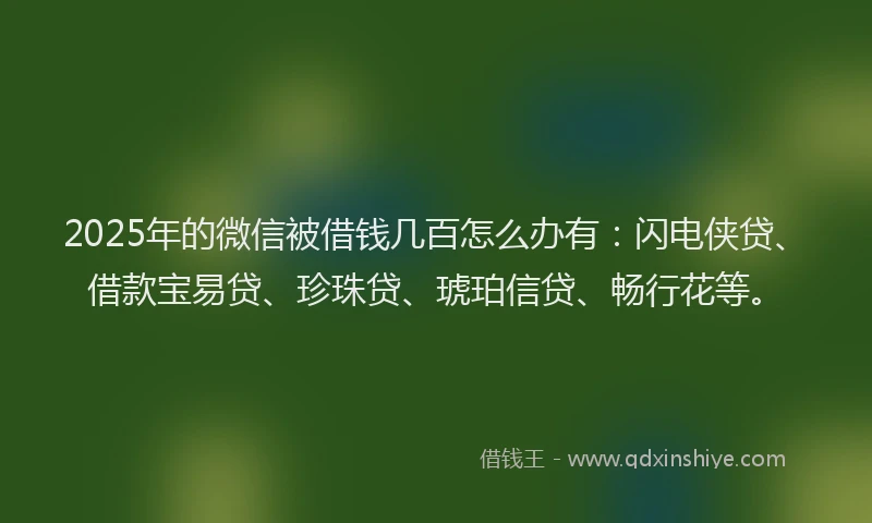 2025年的微信被借钱几百怎么办有：闪电侠贷、借款宝易贷、珍珠贷、琥珀信贷、畅行花等。