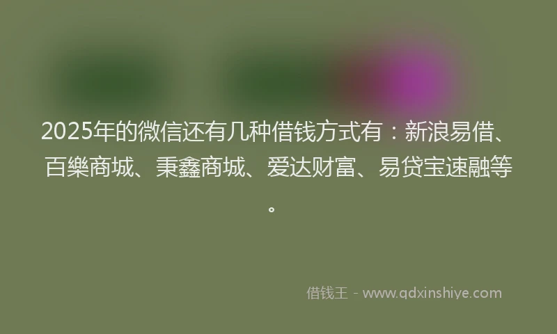 2025年的微信还有几种借钱方式有：新浪易借、百樂商城、秉鑫商城、爱达财富、易贷宝速融等。