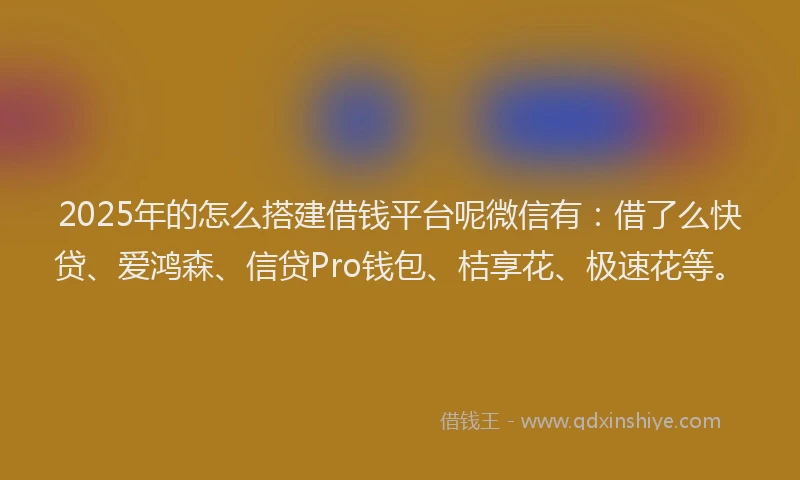 2025年的怎么搭建借钱平台呢微信有：借了么快贷、爱鸿森、信贷Pro钱包、桔享花、极速花等。