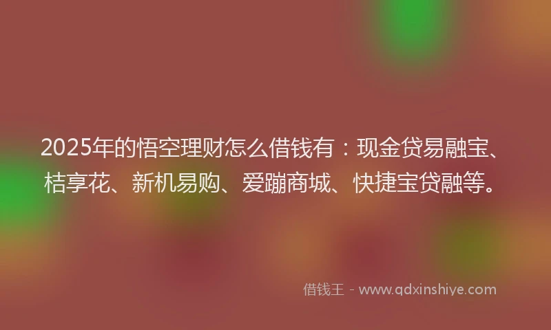 2025年的悟空理财怎么借钱有：现金贷易融宝、桔享花、新机易购、爱蹦商城、快捷宝贷融等。