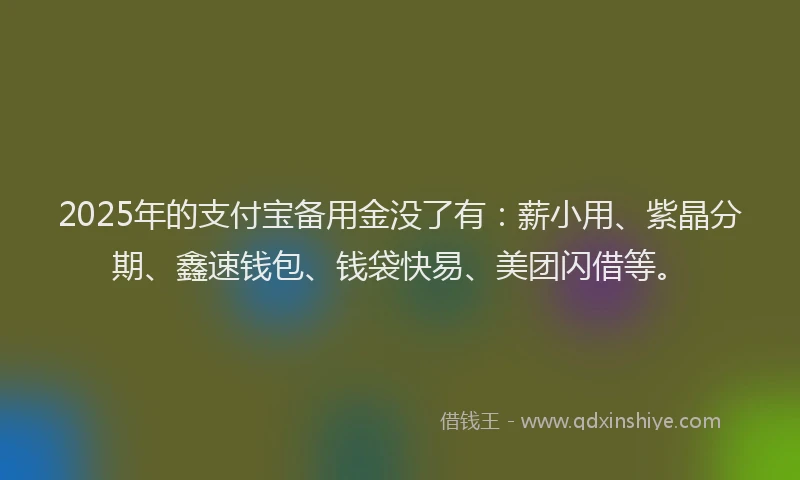 2025年的支付宝备用金没了有：薪小用、紫晶分期、鑫速钱包、钱袋快易、美团闪借等。