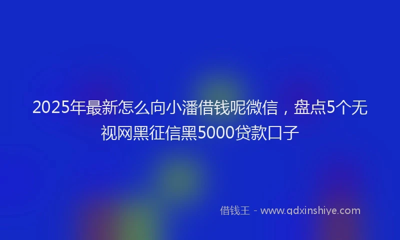2025年最新怎么向小潘借钱呢微信，盘点5个无视网黑征信黑5000贷款口子