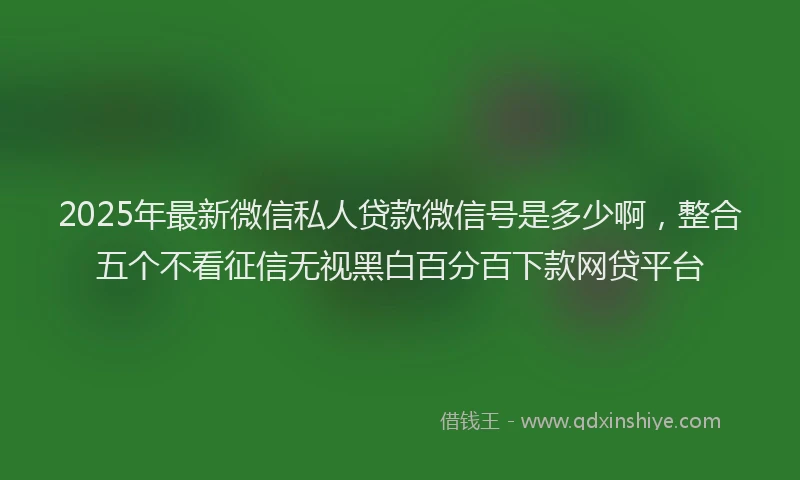 2025年最新微信私人贷款微信号是多少啊，整合五个不看征信无视黑白百分百下款网贷平台