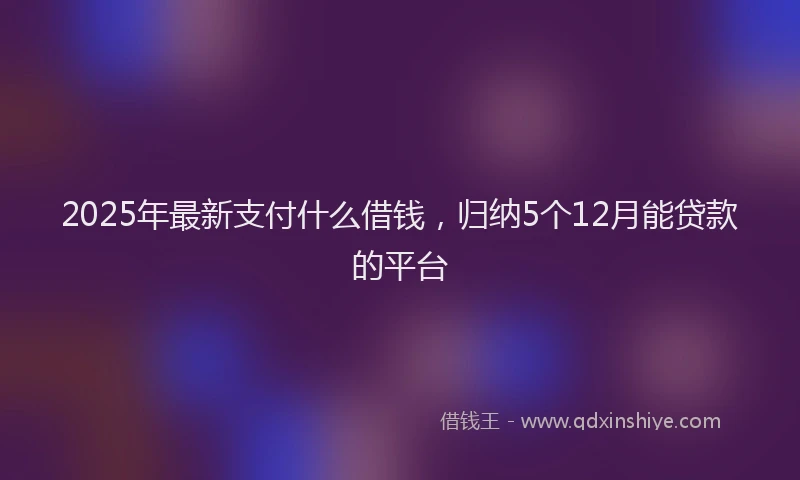 2025年最新支付什么借钱，归纳5个12月能贷款的平台