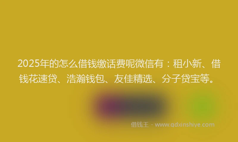 2025年的怎么借钱缴话费呢微信有：租小新、借钱花速贷、浩瀚钱包、友佳精选、分子贷宝等。