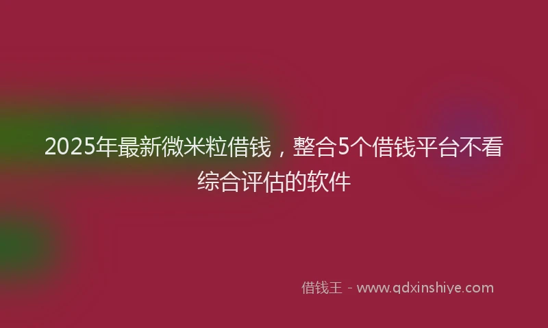 2025年最新微米粒借钱，整合5个借钱平台不看综合评估的软件