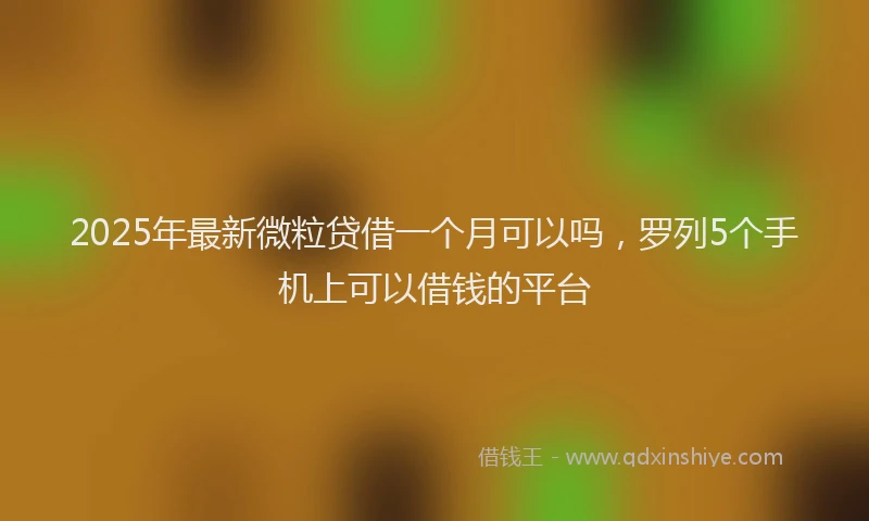 2025年最新微粒贷借一个月可以吗，罗列5个手机上可以借钱的平台