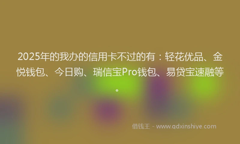 2025年的我办的信用卡不过的有：轻花优品、金悦钱包、今日购、瑞信宝Pro钱包、易贷宝速融等。