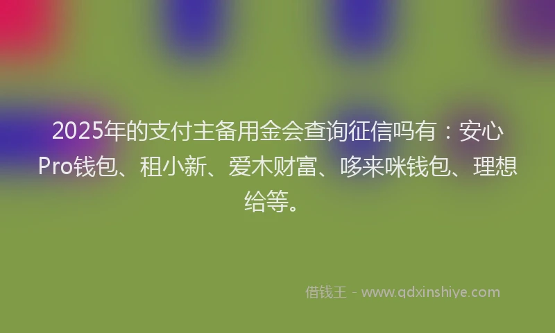 2025年的支付主备用金会查询征信吗有：安心Pro钱包、租小新、爱木财富、哆来咪钱包、理想给等。