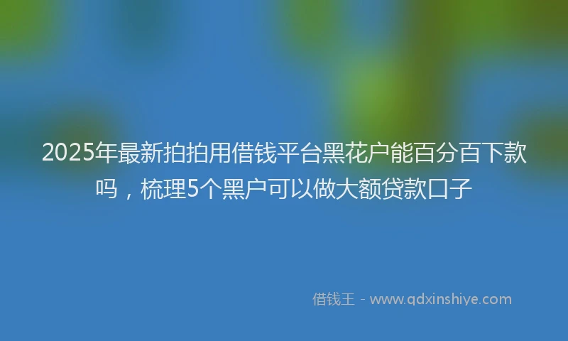 2025年最新拍拍用借钱平台黑花户能百分百下款吗，梳理5个黑户可以做大额贷款口子